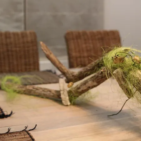 度假居 La Creme *